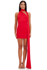 Jacqui Red Jersey Mini Dress