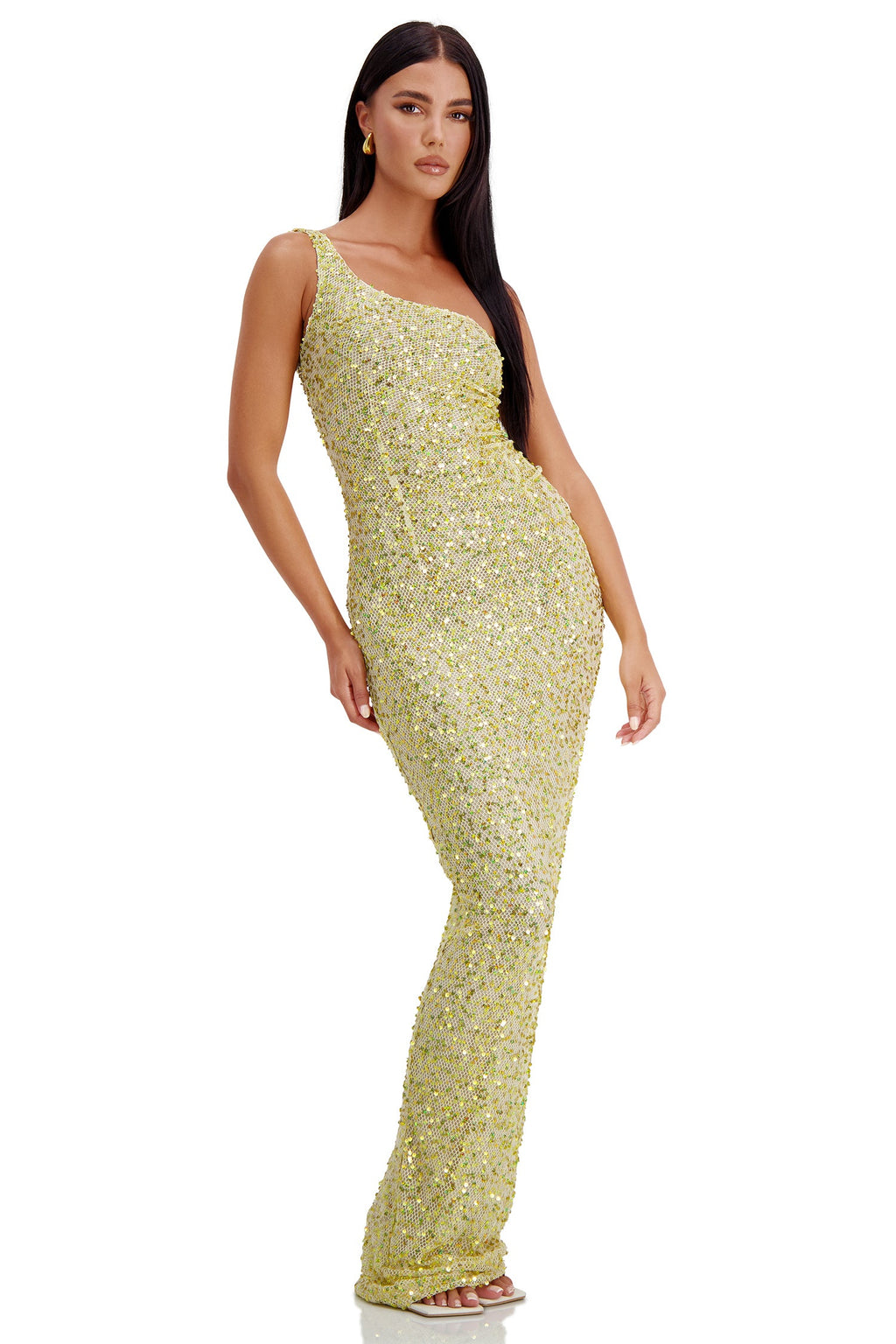 Jaquetta Gold Mesh Maxi Dress