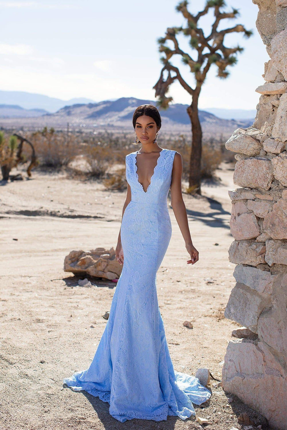 A&N Luxe Ivy - Sky Blue Lace Gown with Plunge Neck & Open Back 