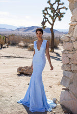 A&N Luxe Ivy - Sky Blue Lace Gown with Plunge Neck & Open Back 