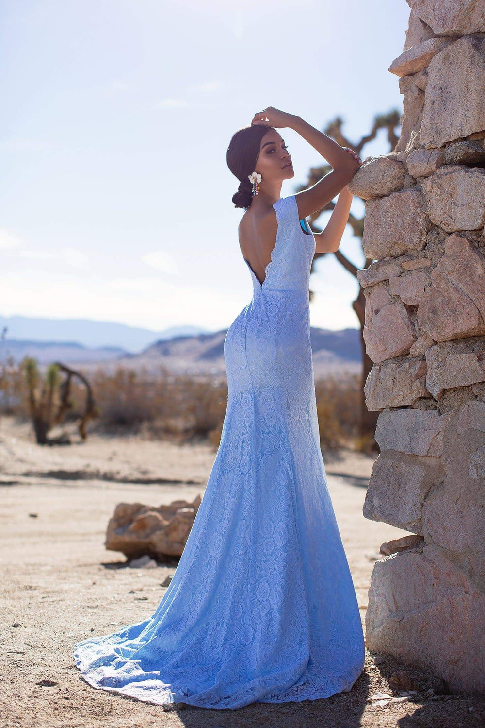 A&N Luxe Ivy - Sky Blue Lace Gown with Plunge Neck & Open Back 